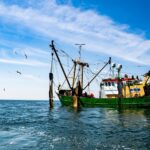 green and brown boat on sea under blue sky during daytime