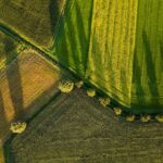 aerial photography of field